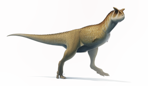 Carnotaurus Wikipedia