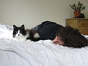 Cat lays in bed with its owner. Cat and human.JPG