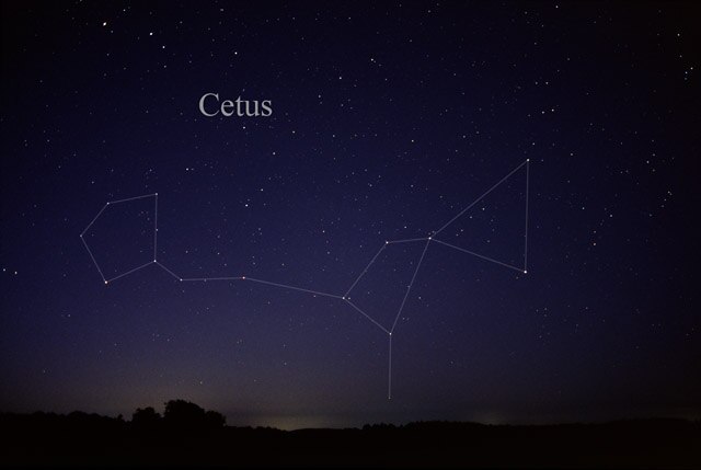 Cetus annotated with lines (a "stick figure") from a latitude further north (north of its declination), above a horizon, in conditions ideal for obser