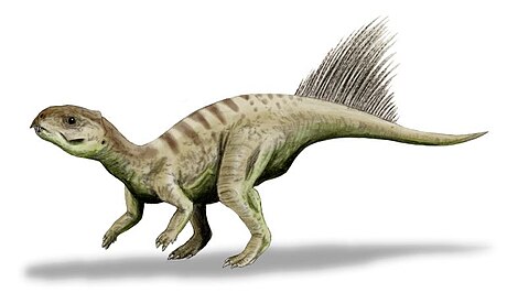 Chaoyangsauridae