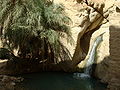 Chebika Waterfall