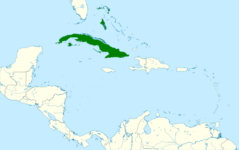 File:Chlorostilbon ricordii map.svg