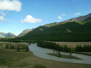 <span class="mw-page-title-main">Chuya, Altai (river)</span> River in Russia