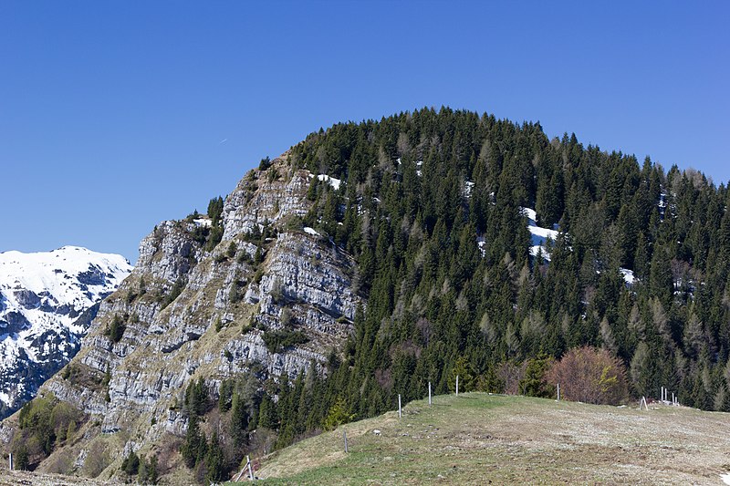 File:Cima del Dil (MGK12464).jpg