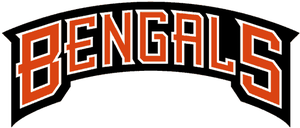 Thumbnail for 1998 Cincinnati Bengals season