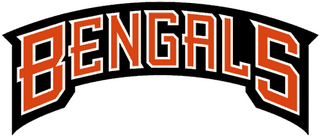 <span class="mw-page-title-main">2000 Cincinnati Bengals season</span> NFL team season