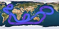 Map displaying a looping line with arrows indicating that water flows eastward in the far Southern Ocean, angling northeast of Australia, turning sough-after passing Alaska, then crossing the mid-Pacific to flow north of Australia, continuing west below Africa, then turning northwest until reaching eastern Canada, then angling east to southern Europe, then finally turning south just below Greenland and flowing down the Americas' eastern coast, and resuming its flow eastward to complete the circle (from Atlantic Ocean)