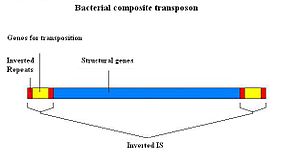 Transposó