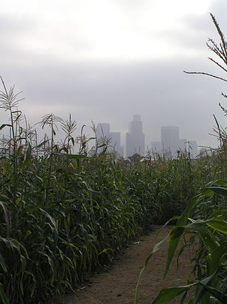 <span class="mw-page-title-main">Not A Cornfield</span>