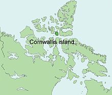 CornwallisIsland.jpg