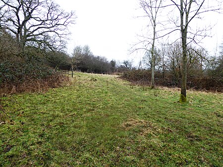 Cowden Meadow 2