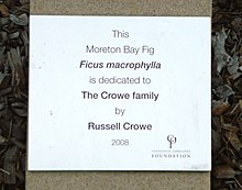 Moreton Bay Fig donated by The Crowe Family in Centennial Park, New South Wales Crowe1.JPG