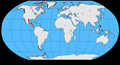 Cyanocorax morio map.jpg