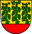 Три листові та плодоносні лози (Графенберг, Німеччина)