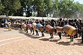 Danse traditionnelle chez le peuple Mafa dans la région de l'Extrême-Nord au Cameroun 25