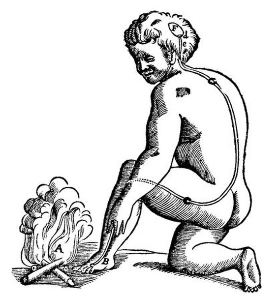 Another one of Descartes' illustrations. The fire displaces the skin, which pulls a tiny thread, which opens a pore in the ventricle (F) allowing the 