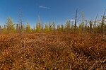 Thumbnail for Dewey Marsh, Wisconsin