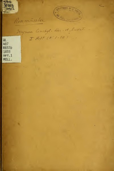 File:Diagnoses conchyliorum terrestrium et fluviatilium. Zugleich Verzeichniss zu Fascikeln natürlicher Exemplare (IA diagnosesconchyl11ross).pdf