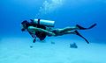 Discover Scuba Diving -- St. Croix, US Virgin Islands.jpg
