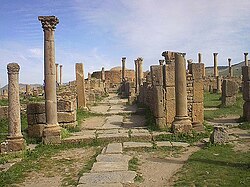 Djemila algeria roman ruins 114.jpg