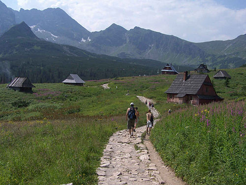 Rówienki w Tatrach