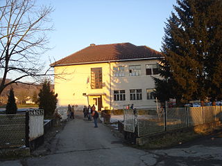 <span class="mw-page-title-main">Donja Borina</span> Village in Serbia