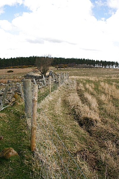 File:Dyke and Two Fences - geograph.org.uk - 768554.jpg