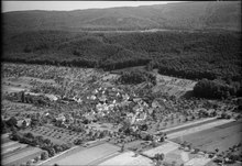 Aerial view (1950) ETH-BIB-Witterswil-LBS H1-013351.tif