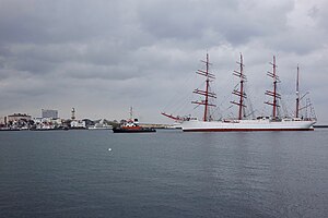 Schiff Sedov: Schiffsgeschichte, Technische Daten, Literatur