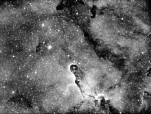 Elefanto Trunk Nebula.jpg