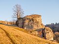 * Nomination Owls rock just befor sunset near Tiefenellern in Franconian Switzerland --Ermell 16:02, 3 January 2017 (UTC) * Promotion Nice --Famberhorst 16:58, 3 January 2017 (UTC)