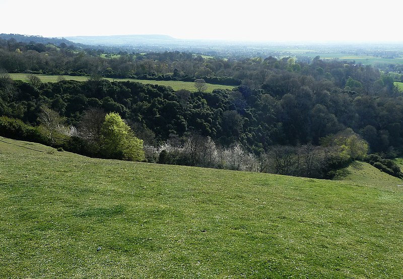 File:Ellesborough Warren from flank of Beacon Hill - geograph.org.uk - 4451292.jpg