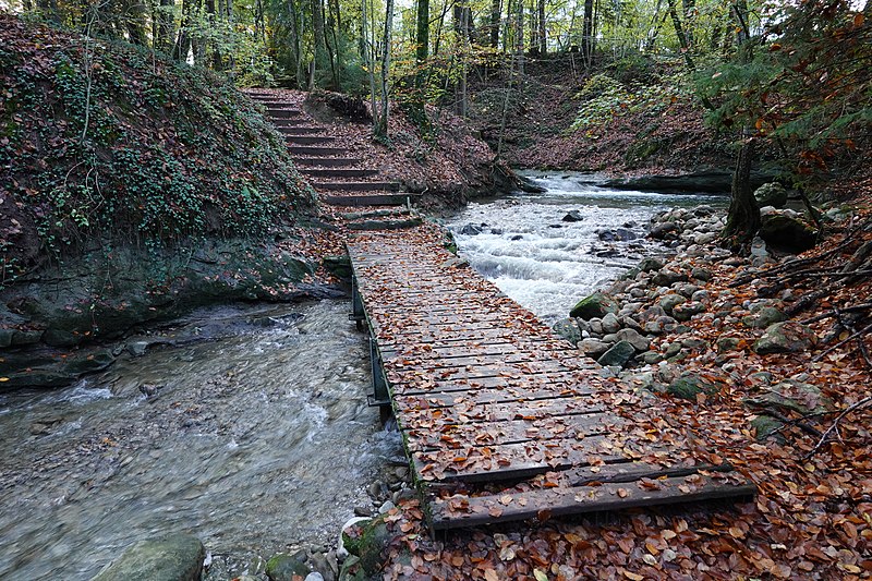 File:Erbe river @ Parcours Nature Fier et Erbe @ Cran-Gevrier (49107057917).jpg