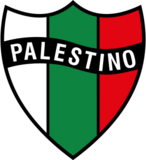 Club Deportivo Palestino: Historia, Estadio, Rivalidades