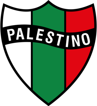 <span class="mw-page-title-main">Club Deportivo Palestino</span> Chilean football club