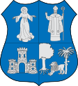 Asunción címere
