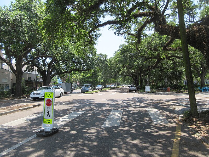 File:Esplanade Avenue by Mystery at Faubourg St John New Orleans June 2019 01.jpg