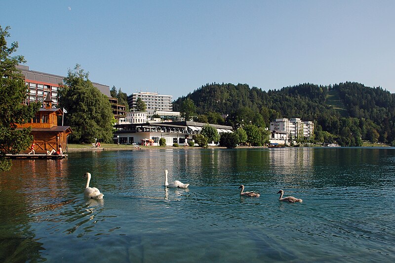 File:Evening view of Bled on the lake with swans, 2013.jpg