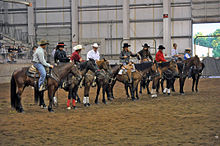Dans un grand manège, plusieurs cavaliers en tenue western sont alignés avec leurs chevaux à l'arrêt.