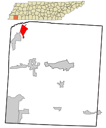 Fayette County Tennessee začleněné a neregistrované oblasti Braden zvýraznil.svg