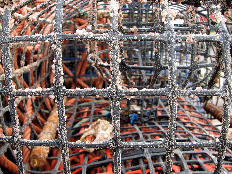 File:Fishing nets - Alvor Harbour - The Algarve, Portugal (1468998577).jpg