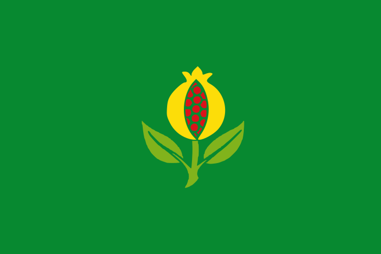 File:Flag of Granada (Cundinamarca).svg