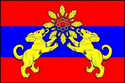 Flag of Peniki