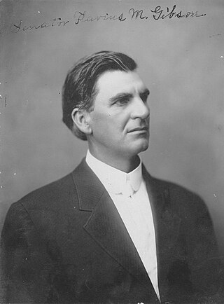 <span class="mw-page-title-main">Flavius M. Gibson</span> American politician (1867–1922)