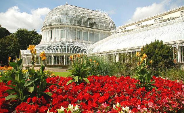 Palm House and flower bed