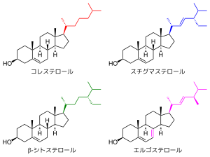 コレステロール: 名称, 生物界における分布, 資源