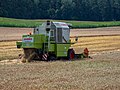 Fränkische Schweiz Getreideernte-20210815-RM-122517.jpg