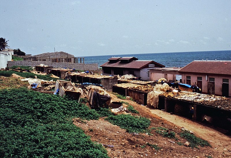 File:Gambia 012 from KG.jpg