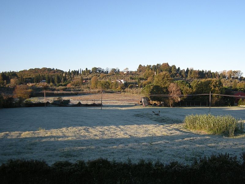 File:Gelata Empoli 26 novembre 2013.jpg