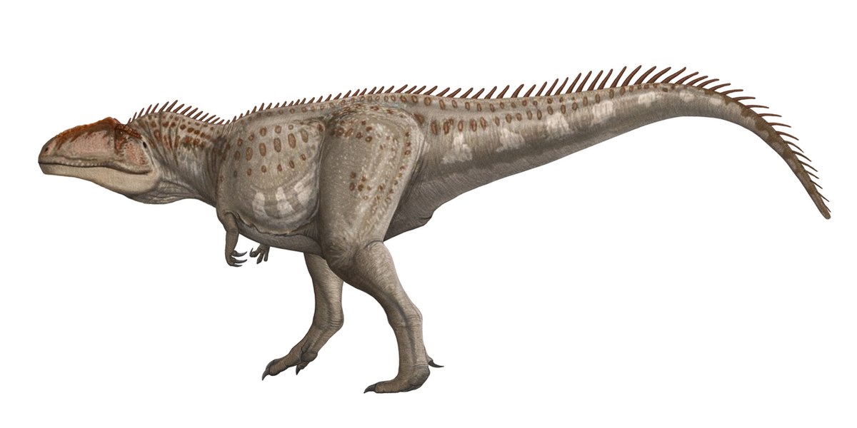 Giganotosaurus Giganotosaurus